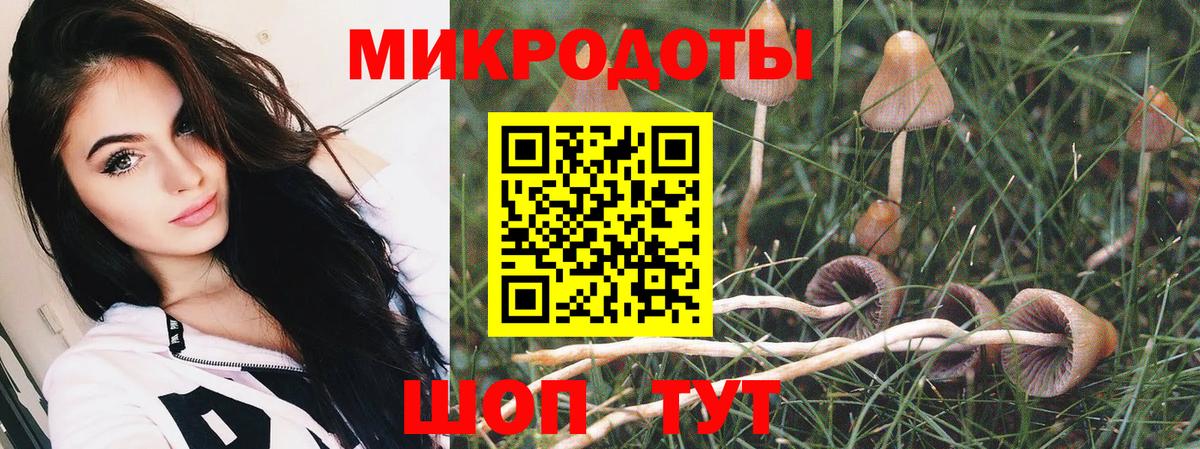 Лянтор  купить  сайты  Вход с VPN  Галлюциногенные грибы мицелий 