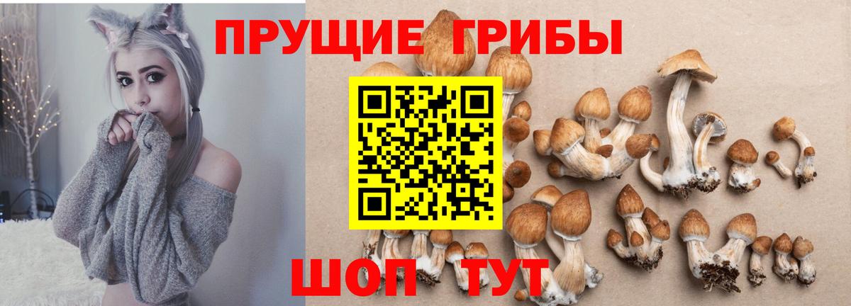 Псилоцибиновые грибы Magic Shrooms Лянтор